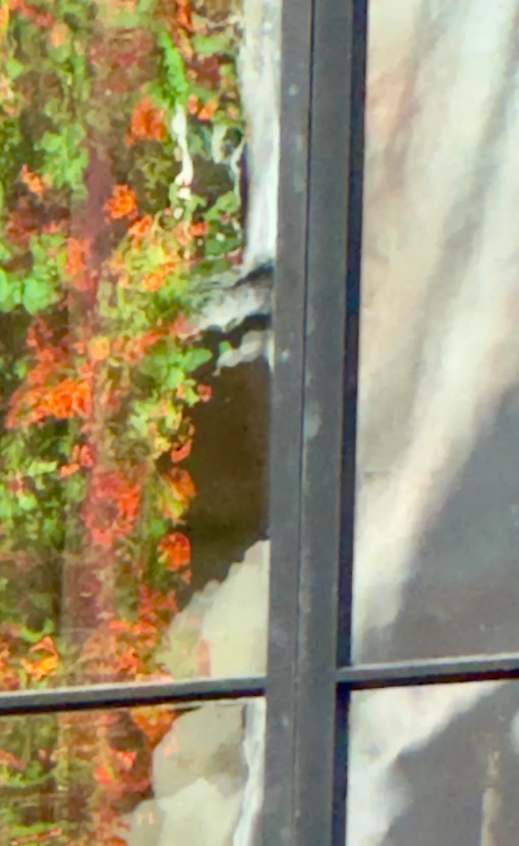 Gardner Reflections