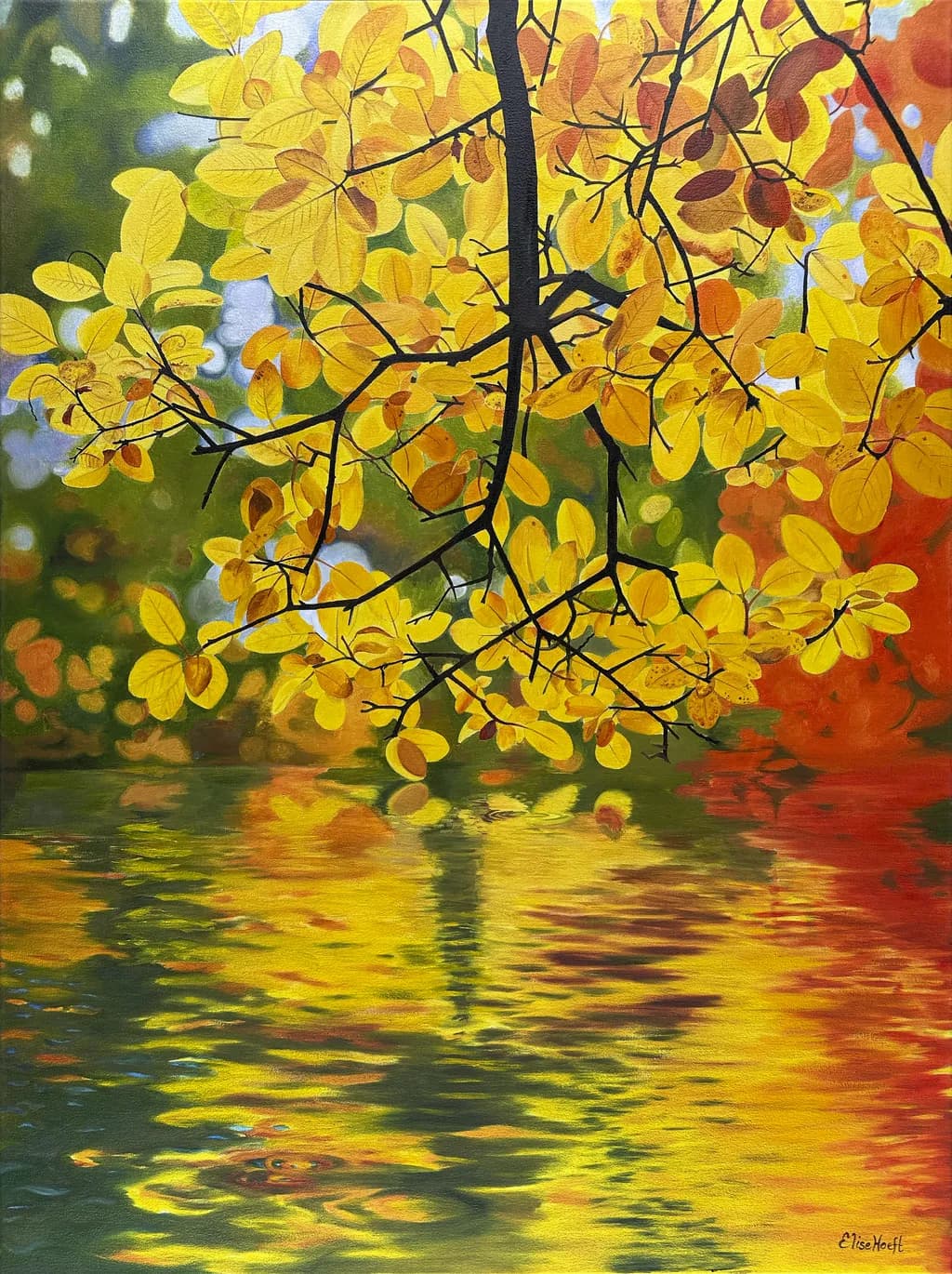 Autumn Leaves Reflection
