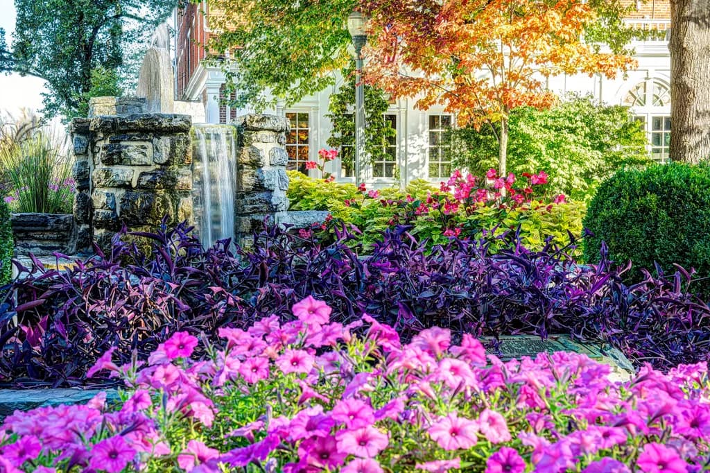 Whispers of Nature: A Serene Garden Oasis with Vibrant Blooms and Tranquil Waters