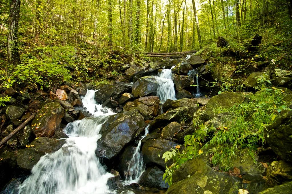 Amicalola Falls Cascade