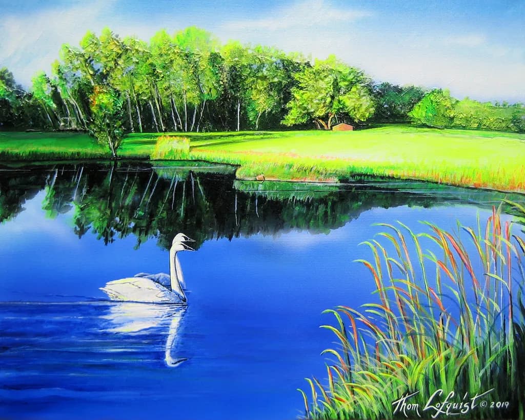 Swans Reflection