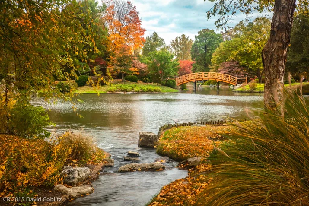 Japanese Garden Bridge Fall