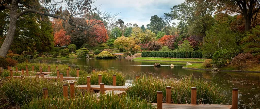 Japanese Garden Path
