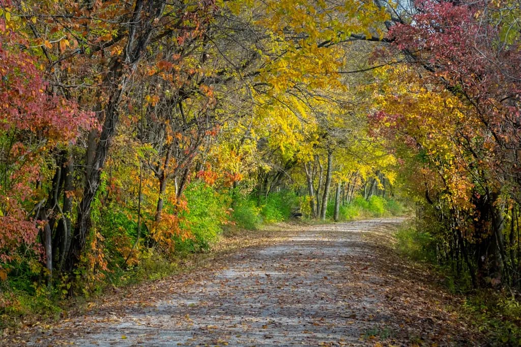 Katy Trail Fall