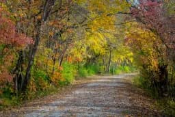 Katy Trail Fall