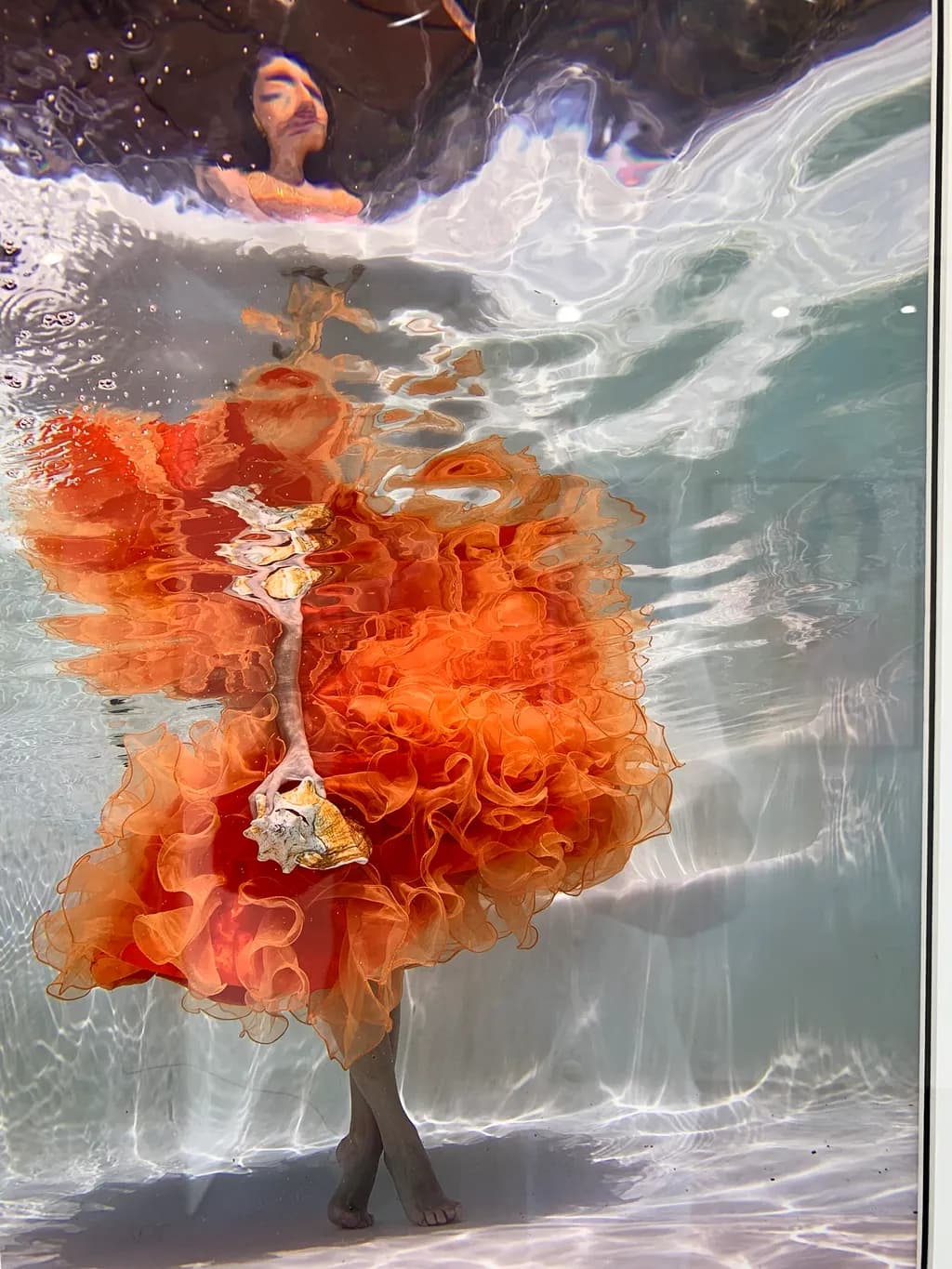 Underwater Elegance