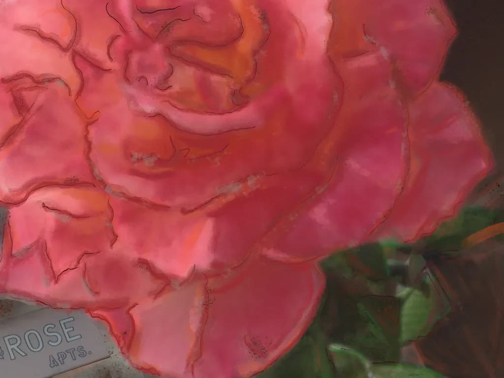 Pink Bloom