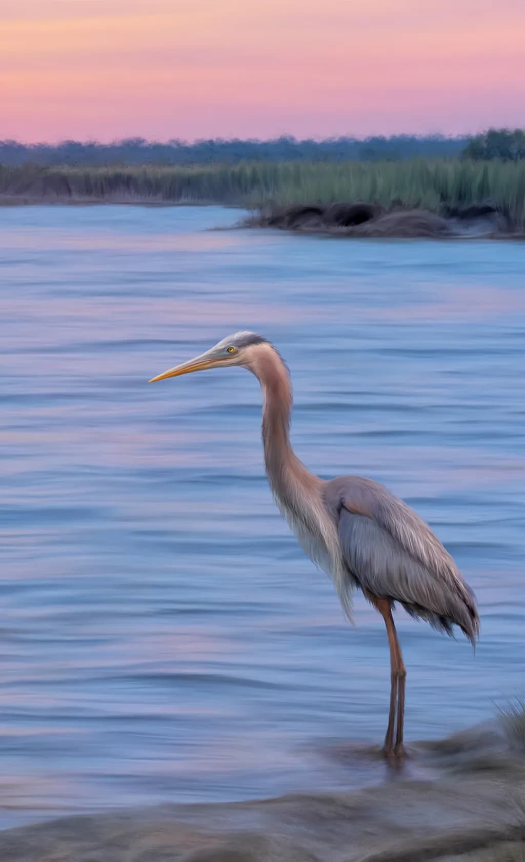 Wading Patiently