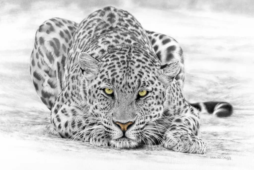 Silent Stalker: The Intense Gaze of a Leopard in Monochrome Artistry