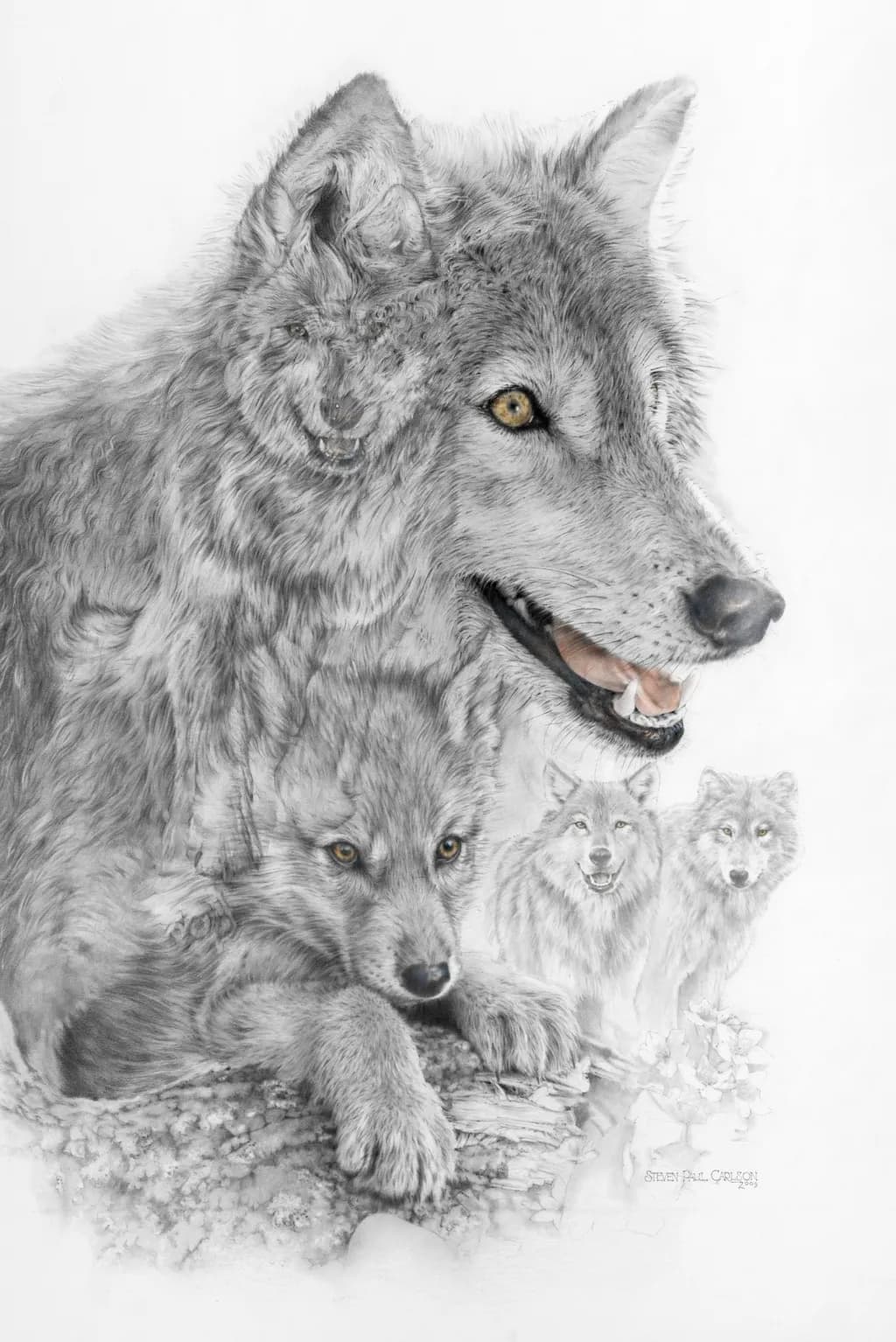 Whispers of the Wild: A Majestic Wolf Family Portrait in Graphite