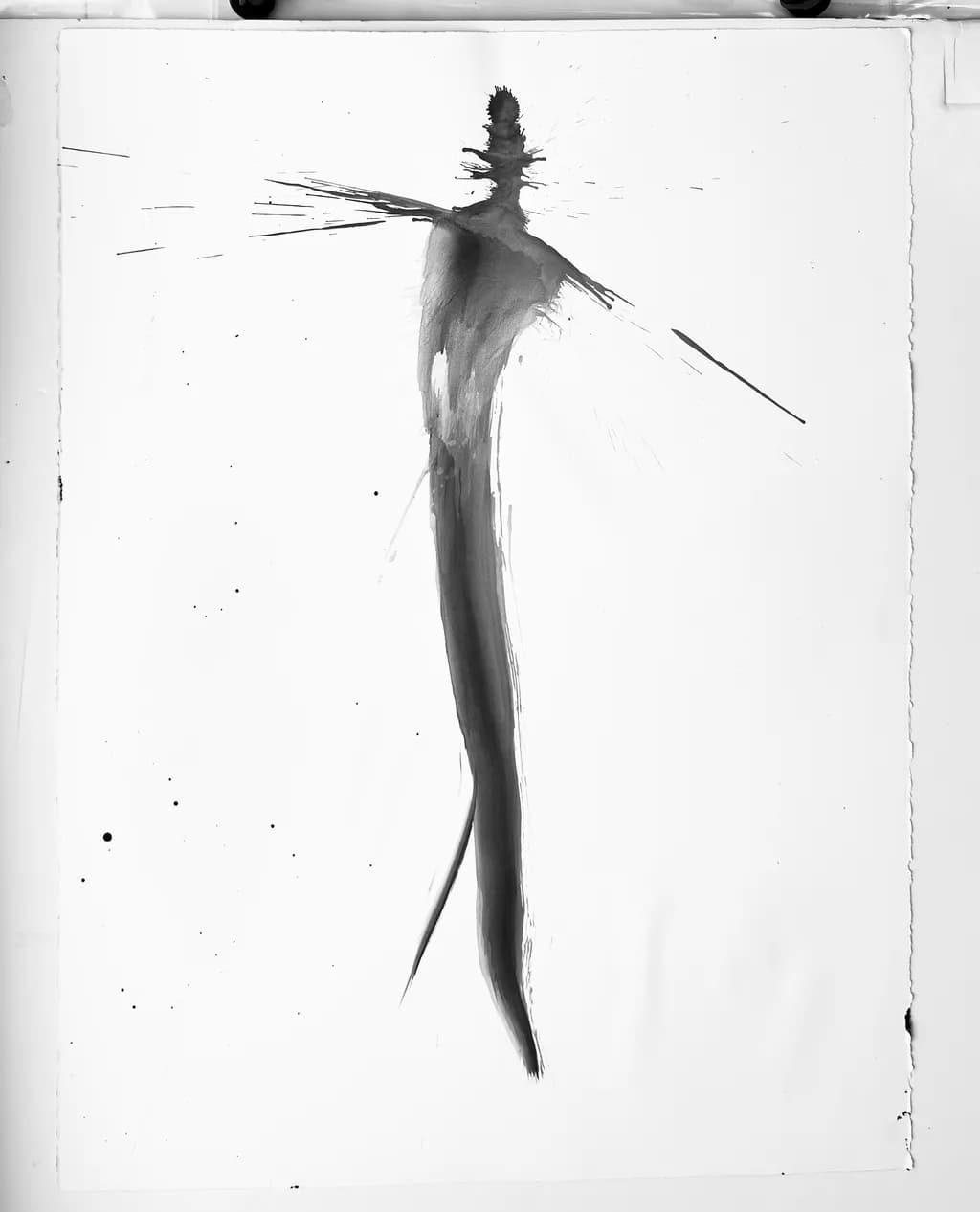 Dynamic Silhouette