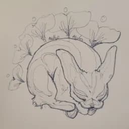 Dreaming Feline