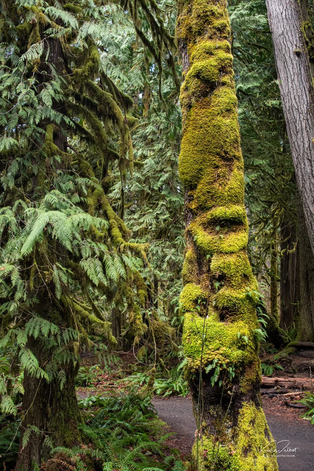 Mossy Totem