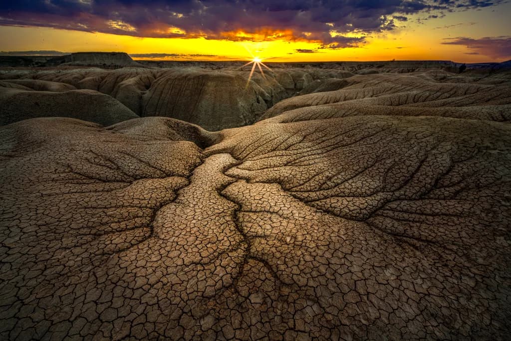 Sunrise Veins