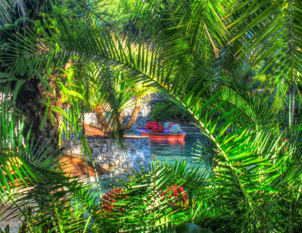Serenity Amidst Lush Greenery: A Tranquil Escape by the Water's Edge