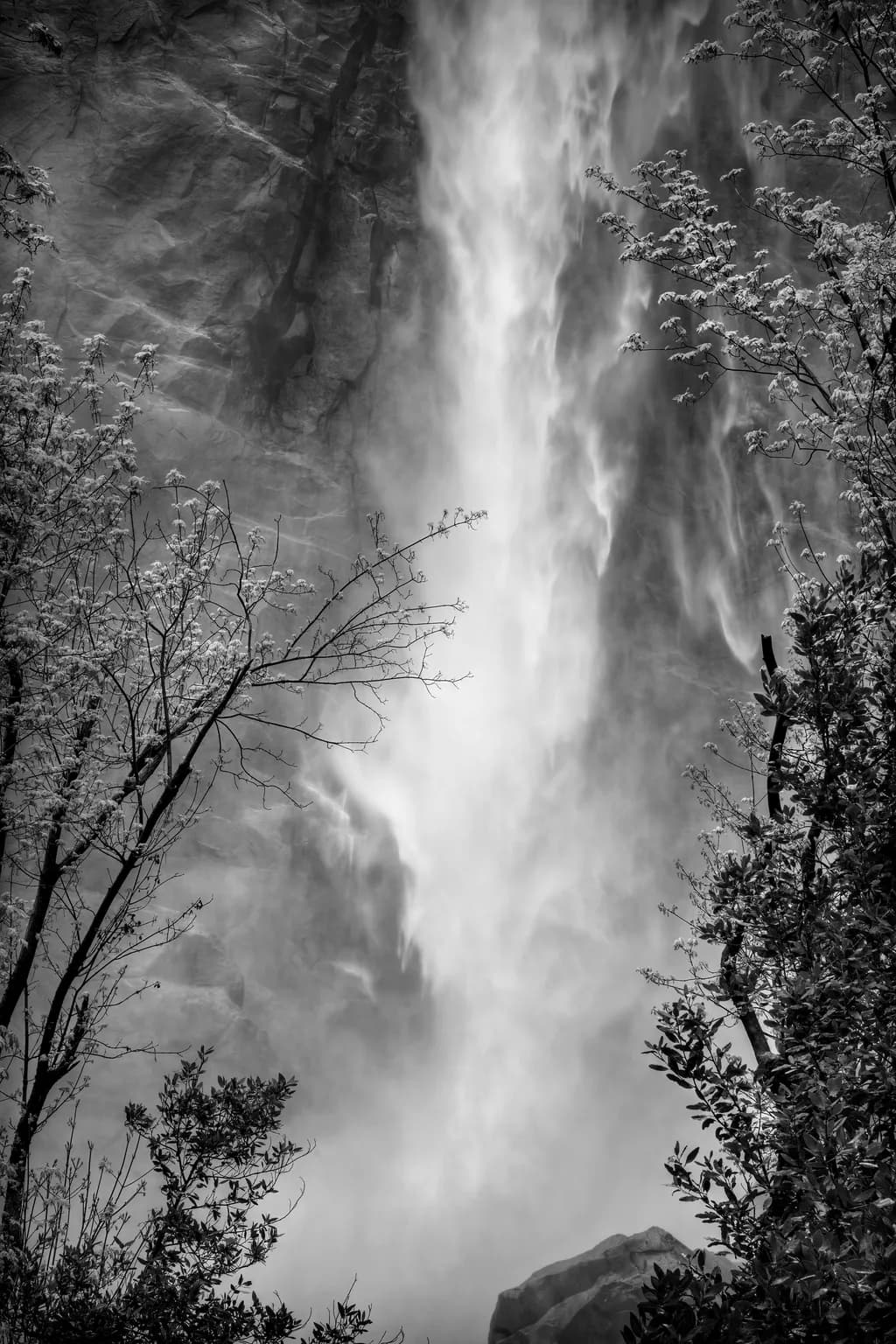 Timeless Descent