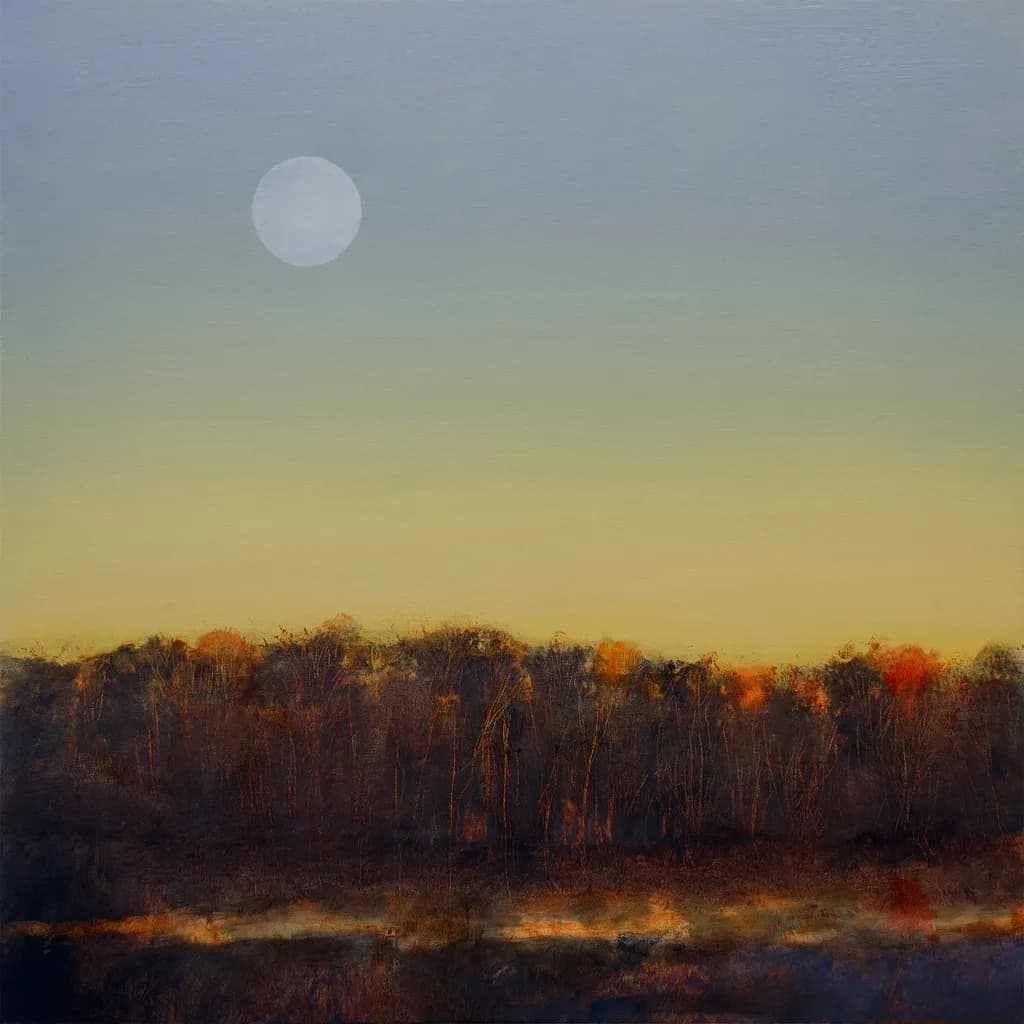 Bayou Dusk