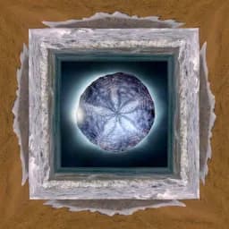 Sand Dollar Eclipse Beach