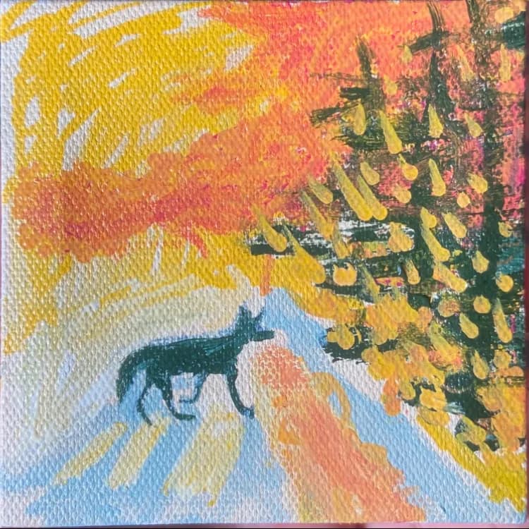 Coyote