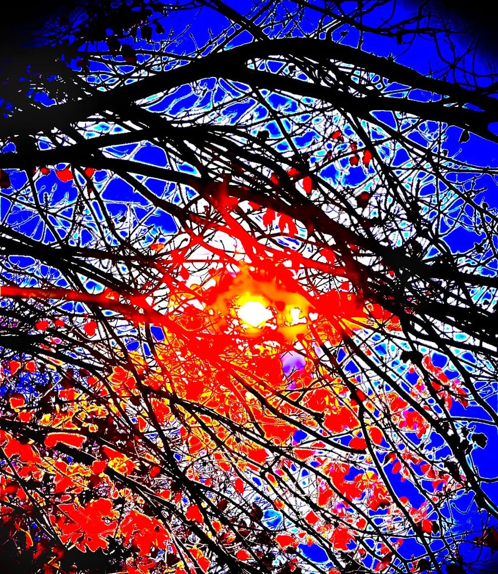 Radiant Branches