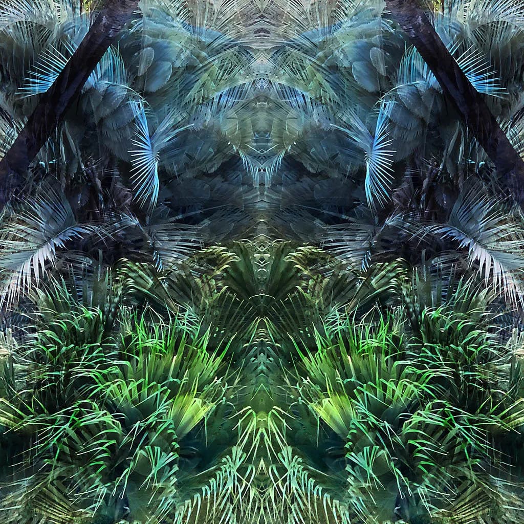Jungle Wings
