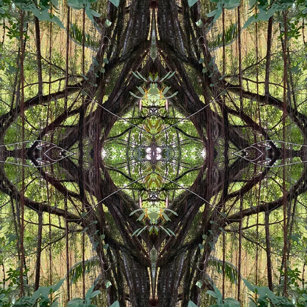 Forest Mandala