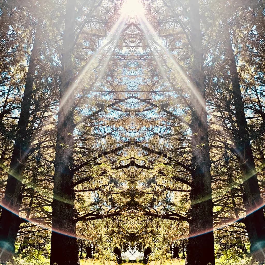 Nature's Temple