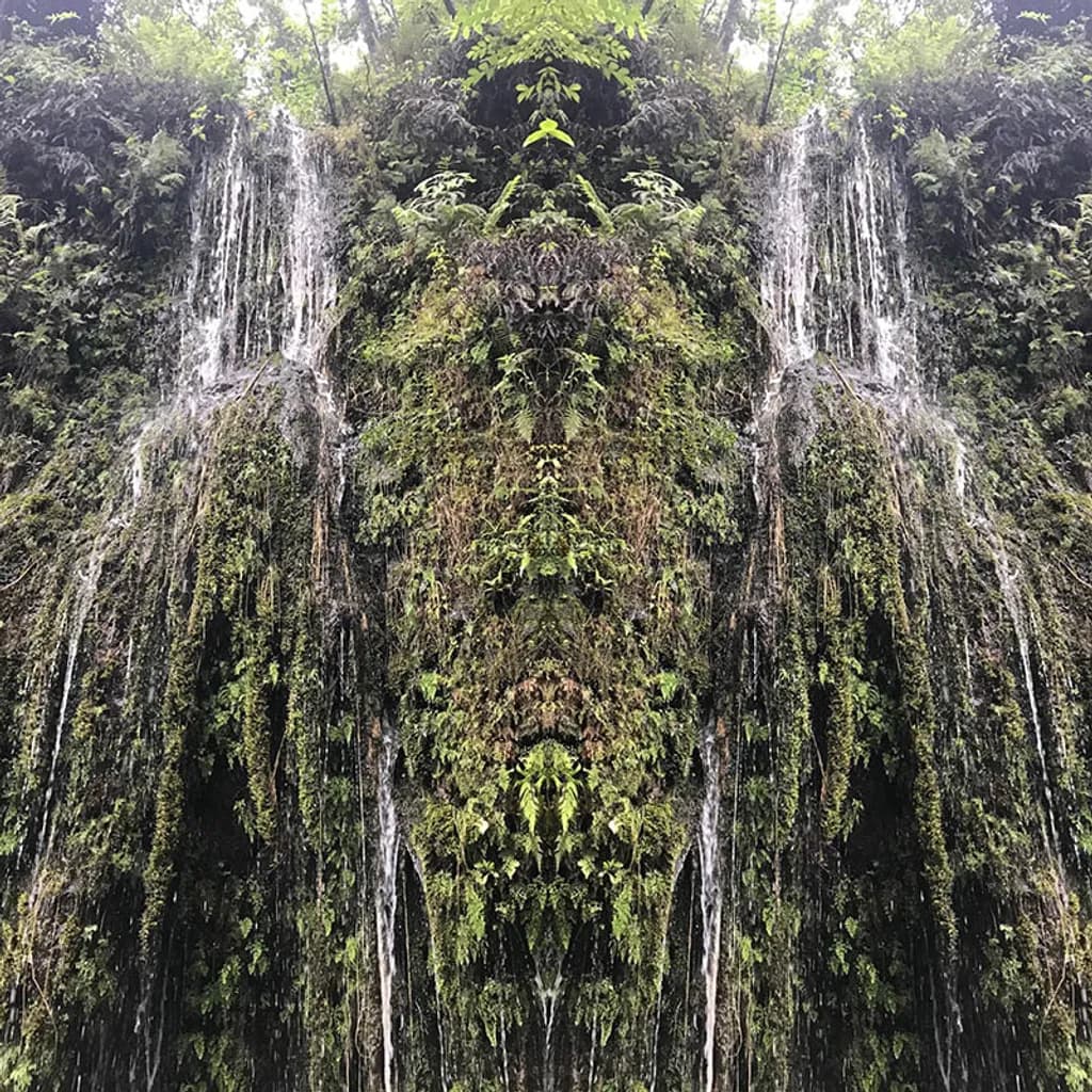 Mirrored Waterfall