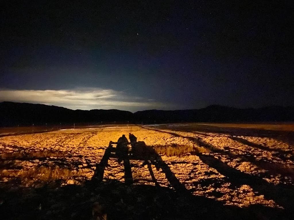 Whispers of the Night: A Serene Landscape Under Moonlight Shadows