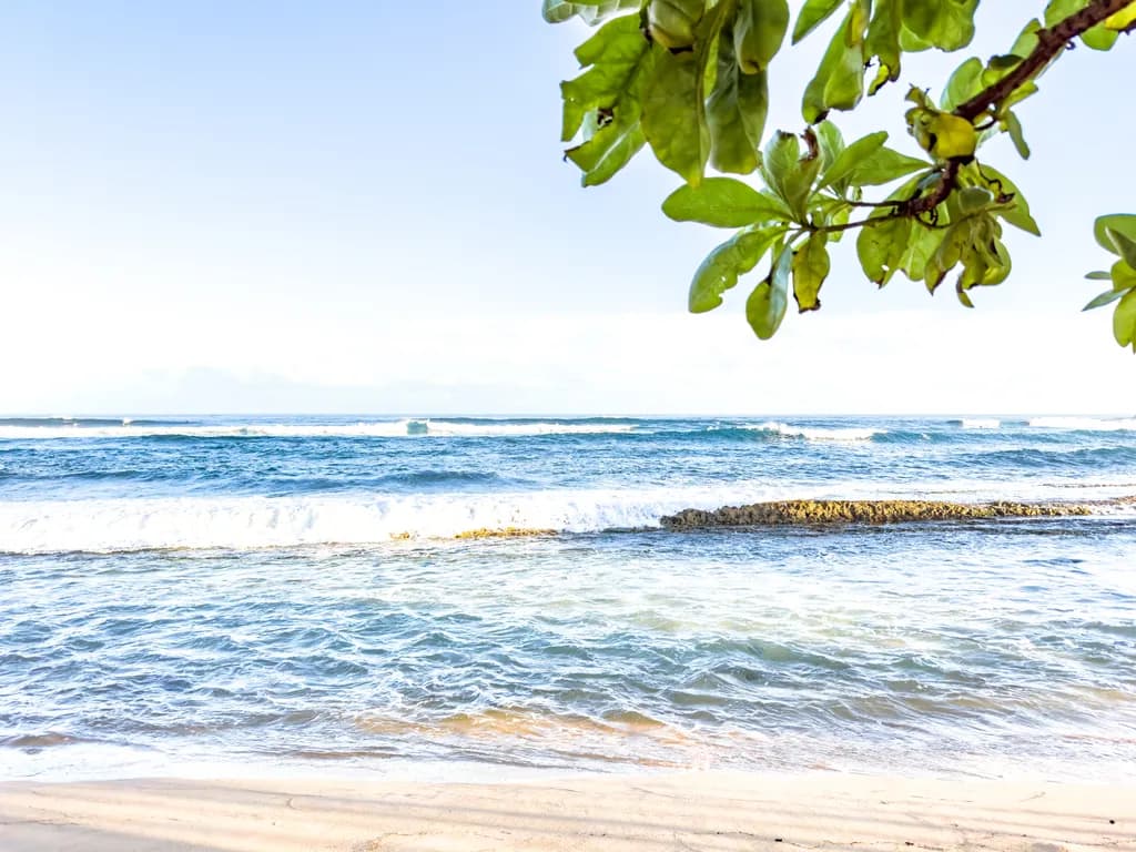 Serenity by the Shore: A Tranquil Beachscape with Gentle Waves and Lush Leaves