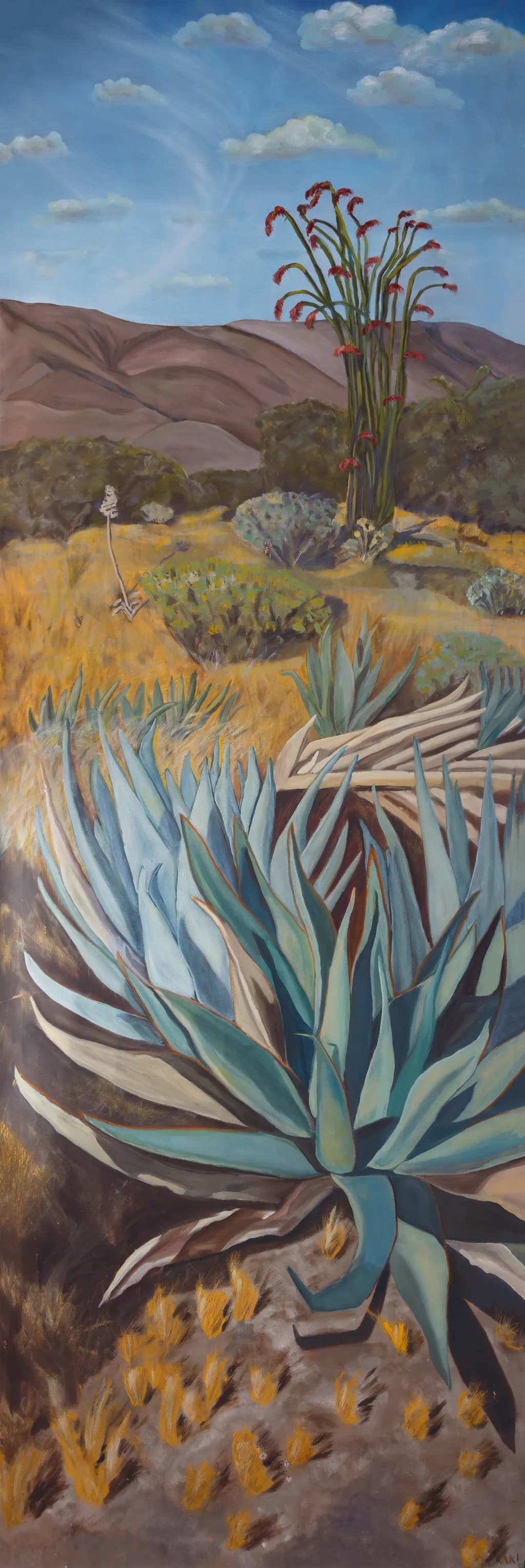 Desert Serenity: Agave and Sky in Vibrant Harmony