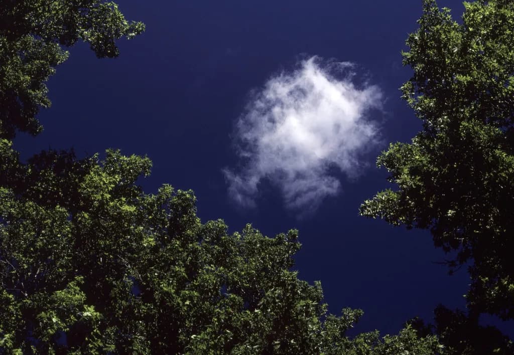 Solitary Cloudscape