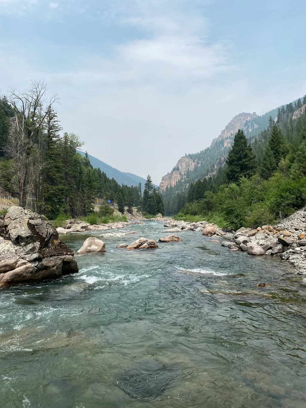 Forest River Mountains