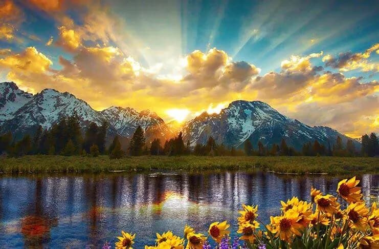 Golden Dawn: A Serene Sunrise Over Majestic Mountains and Blossoming Wildflowers