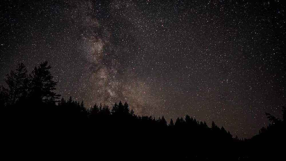 Celestial Dreams: A Night Beneath the Stars