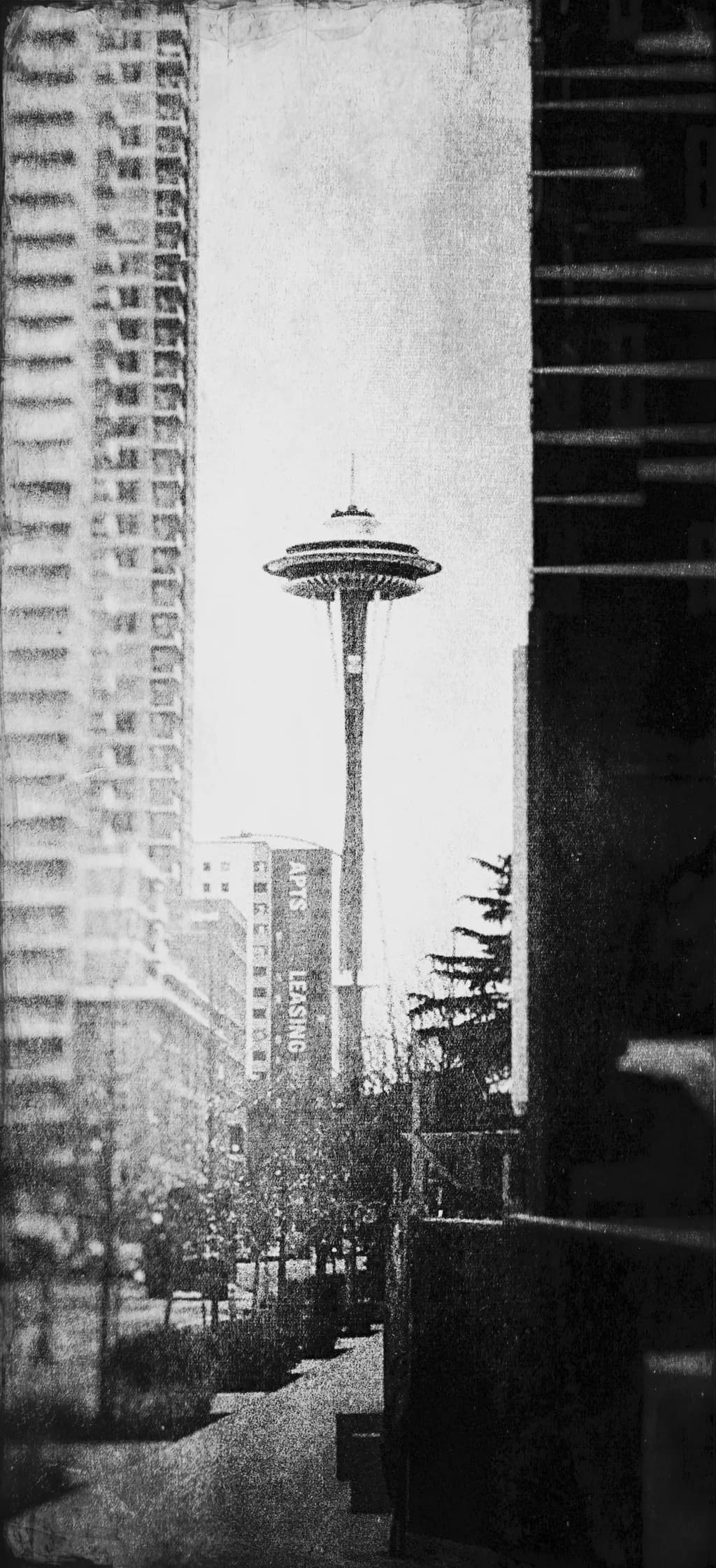 Urban Echoes: A Vintage Perspective of Seattle's Iconic Space Needle
