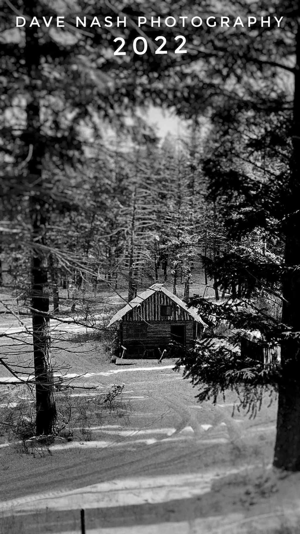 Whispers of Winter: A Black and White Cabin Retreat in the Snowy Forest