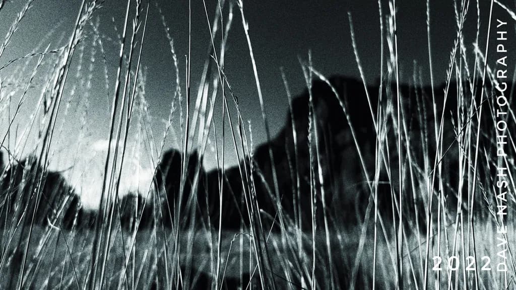Whispers of Nature: A Black and White Exploration of Grass and Mountains