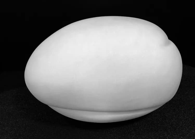 EMERGENCE  
Portuguese White Marble set on a black Granite base  
Symbolizing the delicate balance of form and nature  
18 x 12 inches  
#davidkomar #modern #contemporary