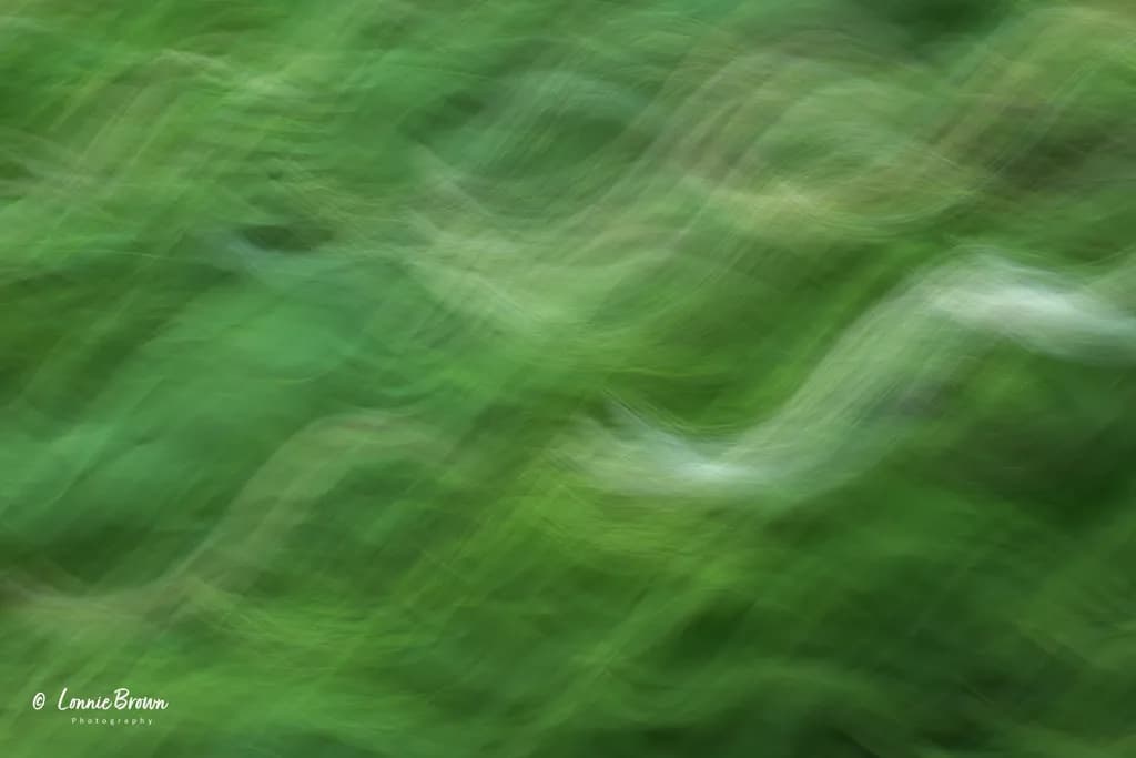 Green Motion Waves