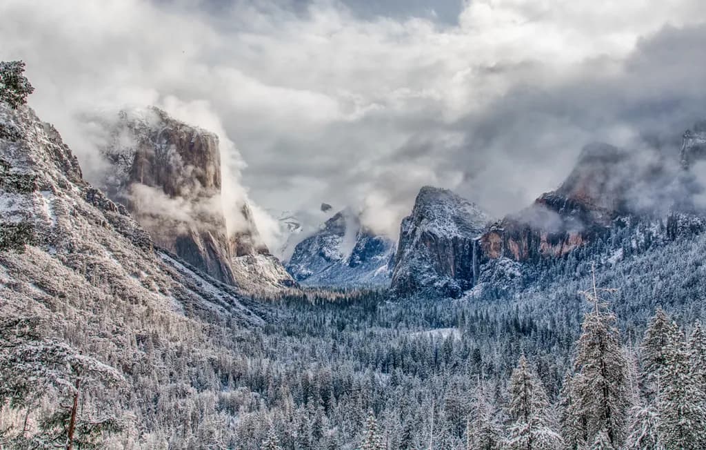 Winter Forest Cliffs
