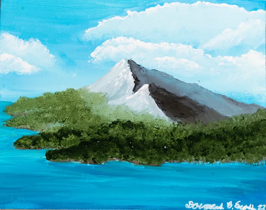 Coastal Mountain Forest