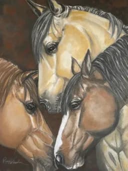 When Noses Meet