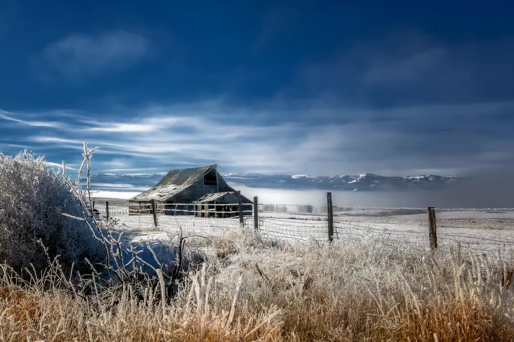 Frosty Barn HWY 55