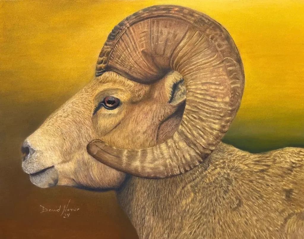 Bighorn Majesty