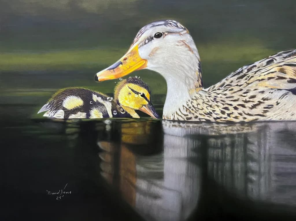 Ducks in a Row – Guided by Love