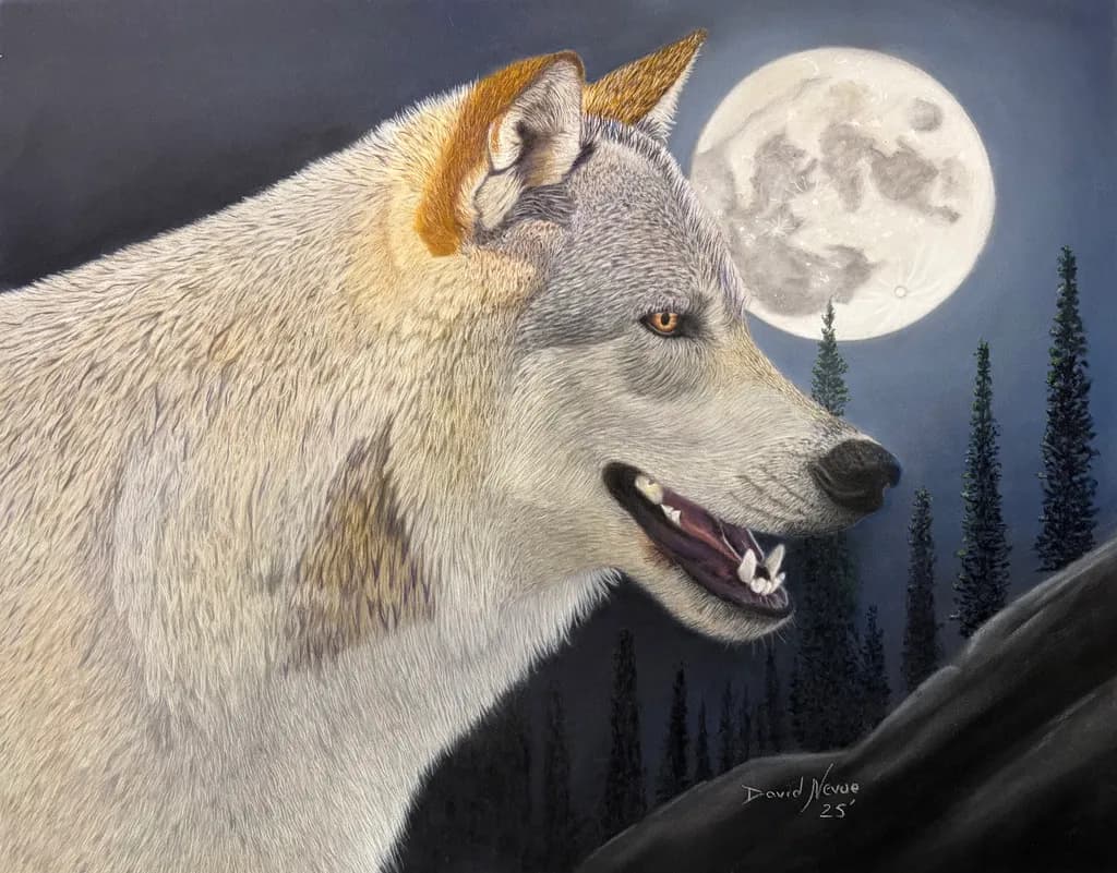 Lone Wolf - Echo of the Wild