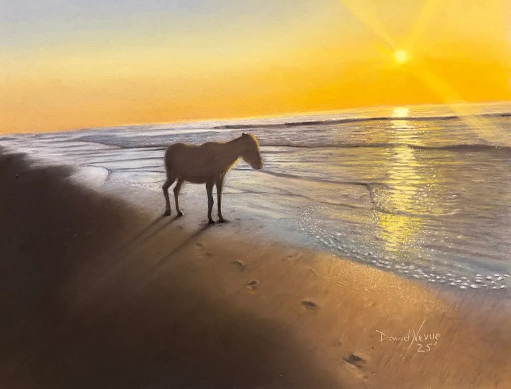 Golden Hour on Assateague - Wild Pony at Sunset