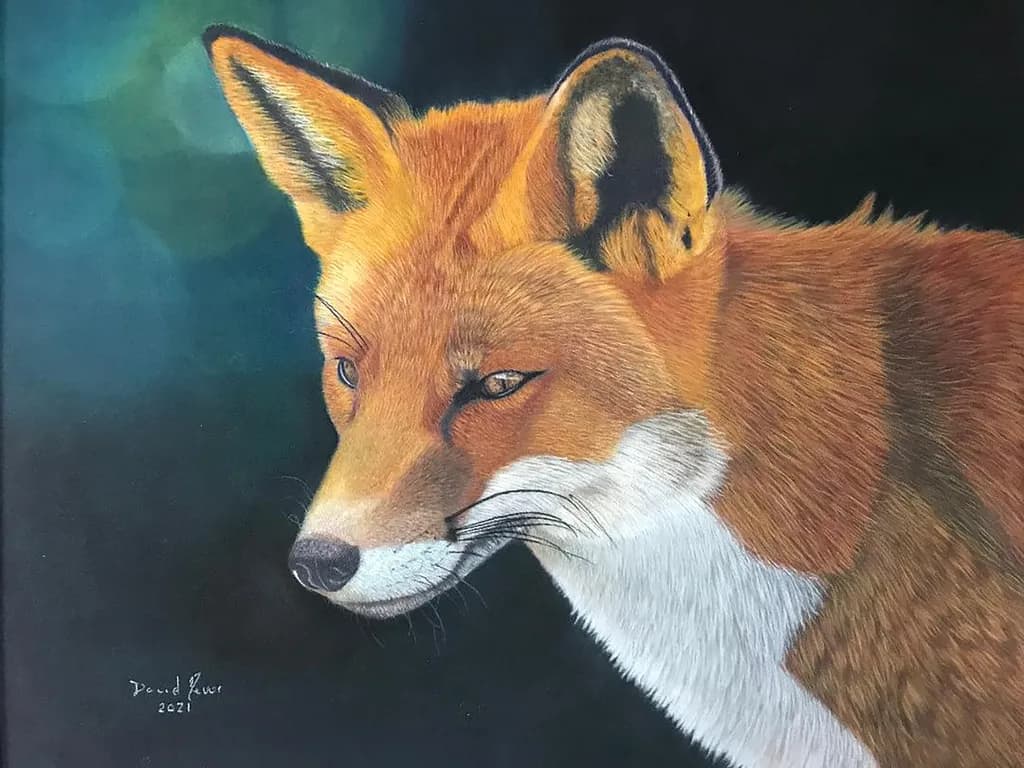 Moonlight - Red Fox