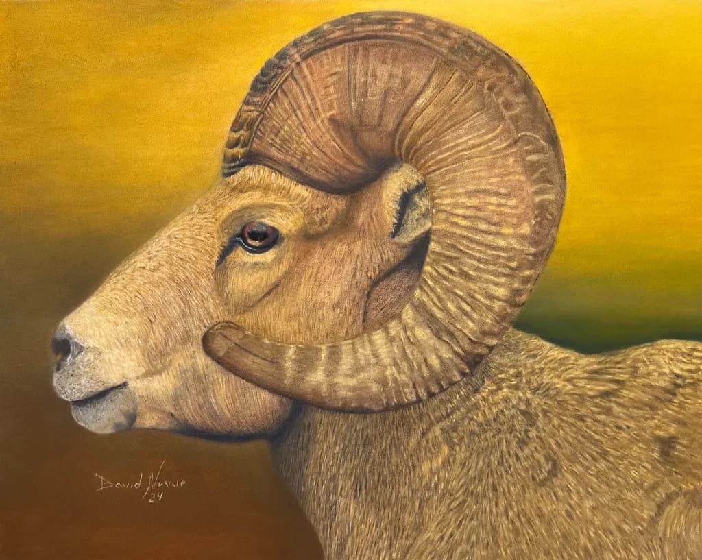 Crowning Glory: A Ram's Majesty in Nature's Embrace